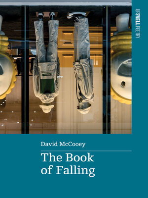 cover image of The Book of Falling